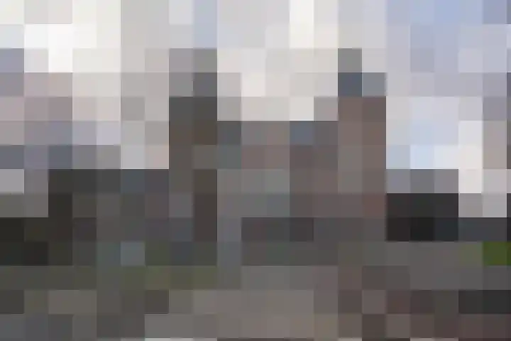 Eerste Van Swindenstraat 219 Amsterdam thumbnail 28