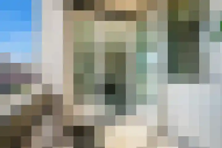 Eerste Van Swindenstraat 219 Amsterdam thumbnail 4