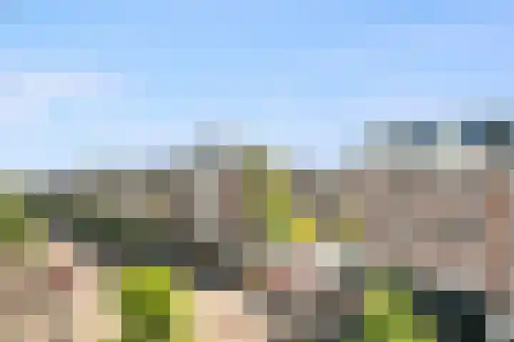 Eerste Van Swindenstraat 219 Amsterdam thumbnail 5