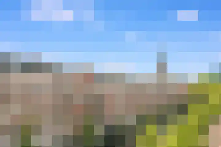 Eerste Van Swindenstraat 219 Amsterdam thumbnail 6