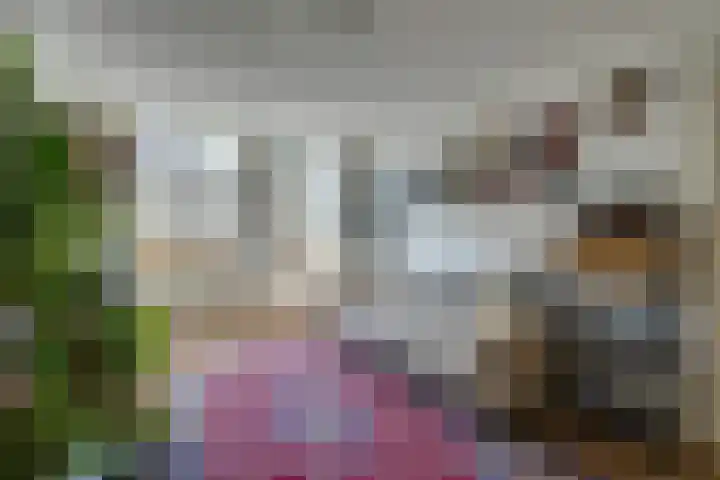 Eerste Van Swindenstraat 36 3 Amsterdam thumbnail 16