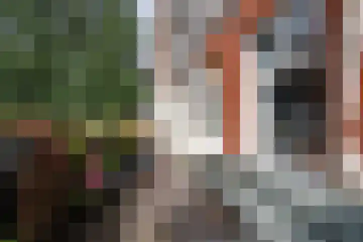 Eerste Van Swindenstraat 36 3 Amsterdam thumbnail 27