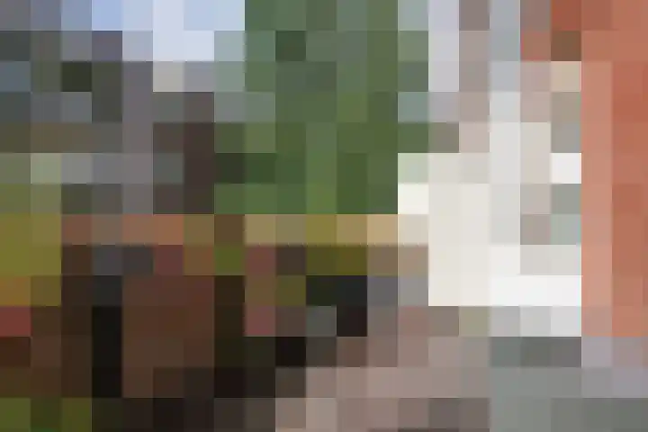 Eerste Van Swindenstraat 36 3 Amsterdam thumbnail 28