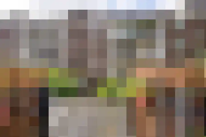 Eerste Van Swindenstraat 36 3 Amsterdam thumbnail 29