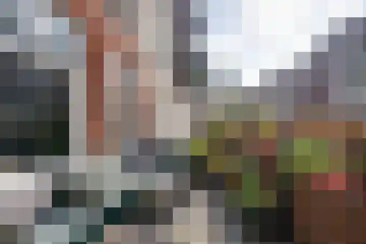Eerste Van Swindenstraat 36 3 Amsterdam thumbnail 4