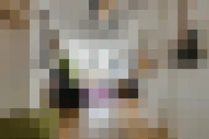 Eerste Van Swindenstraat 36 3 Amsterdam thumbnail 9