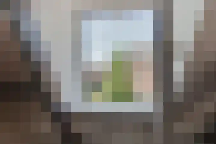 Eerste Van Swindenstraat 373 G Amsterdam thumbnail 25