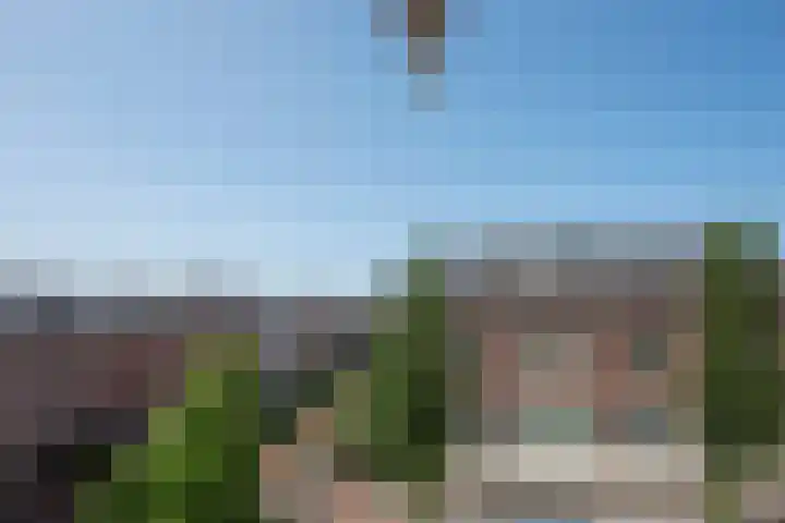 Eerste Van Swindenstraat 373 G Amsterdam thumbnail 26