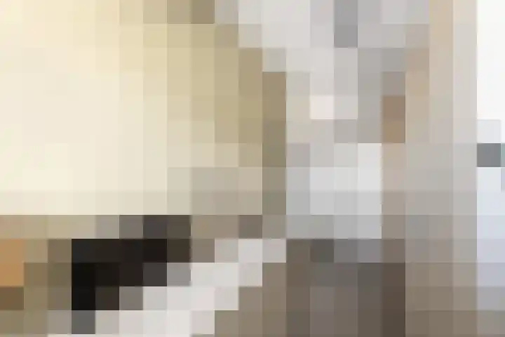 Eerste Van Swindenstraat 373 G Amsterdam thumbnail 33