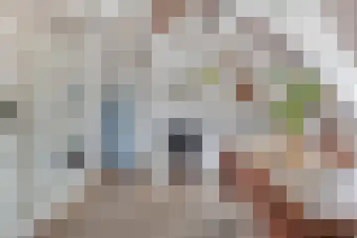 Eerste Van Swindenstraat 373 G Amsterdam thumbnail 6