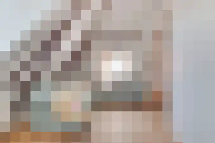 Eerste Van Swindenstraat 373 G Amsterdam thumbnail 8