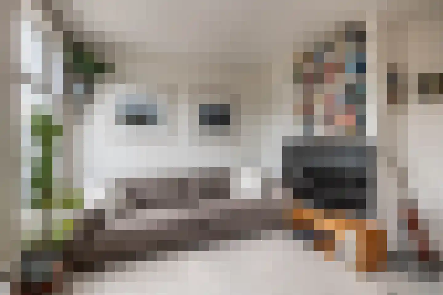Eerste Van Swindenstraat 377 C Amsterdam thumbnail 5