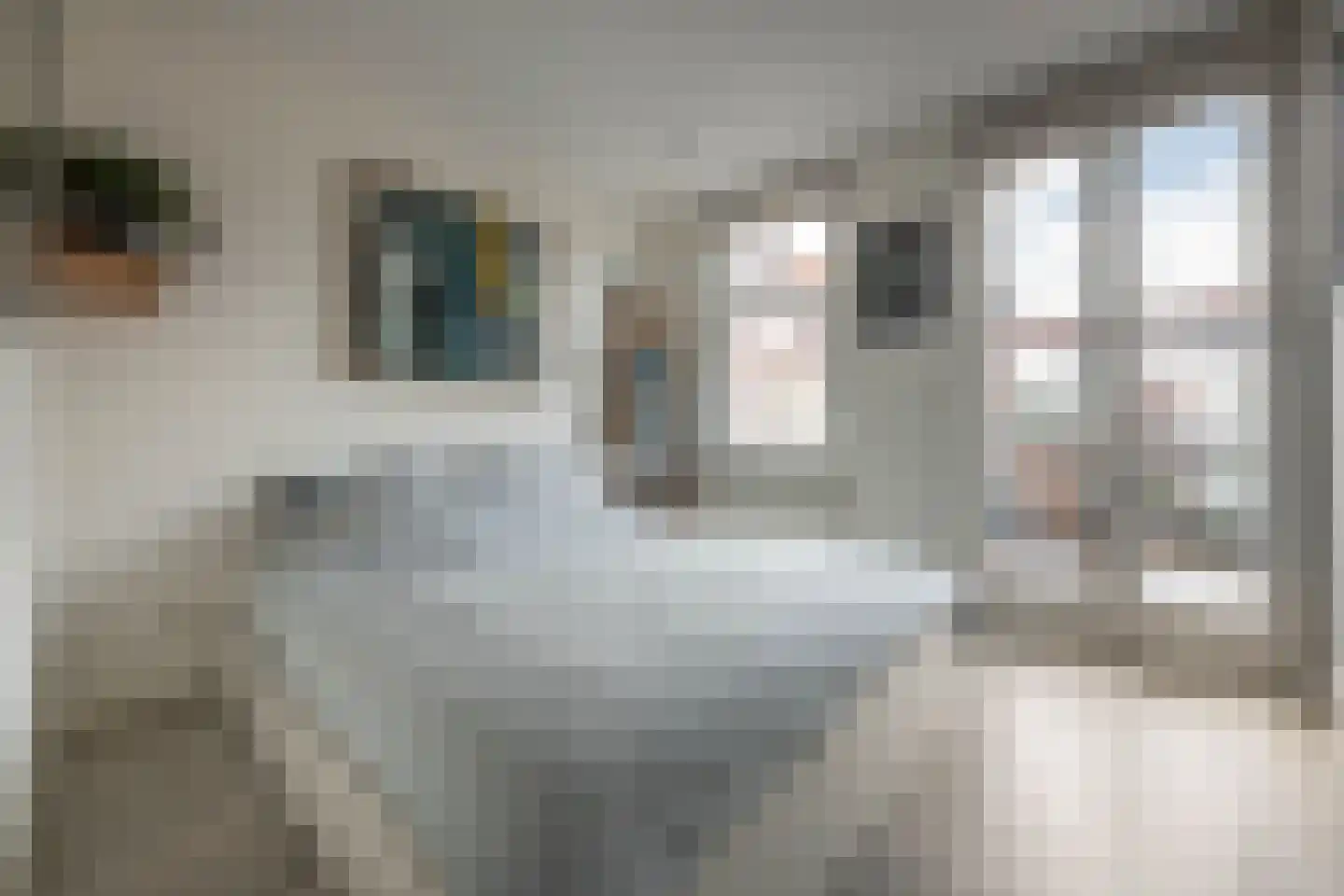Eerste Van Swindenstraat 377 C Amsterdam thumbnail 9