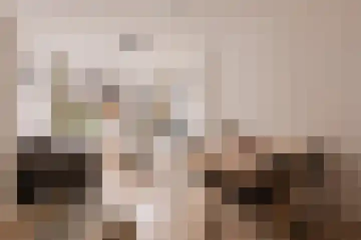 Eerste Van Swindenstraat 38 3 Amsterdam thumbnail 5