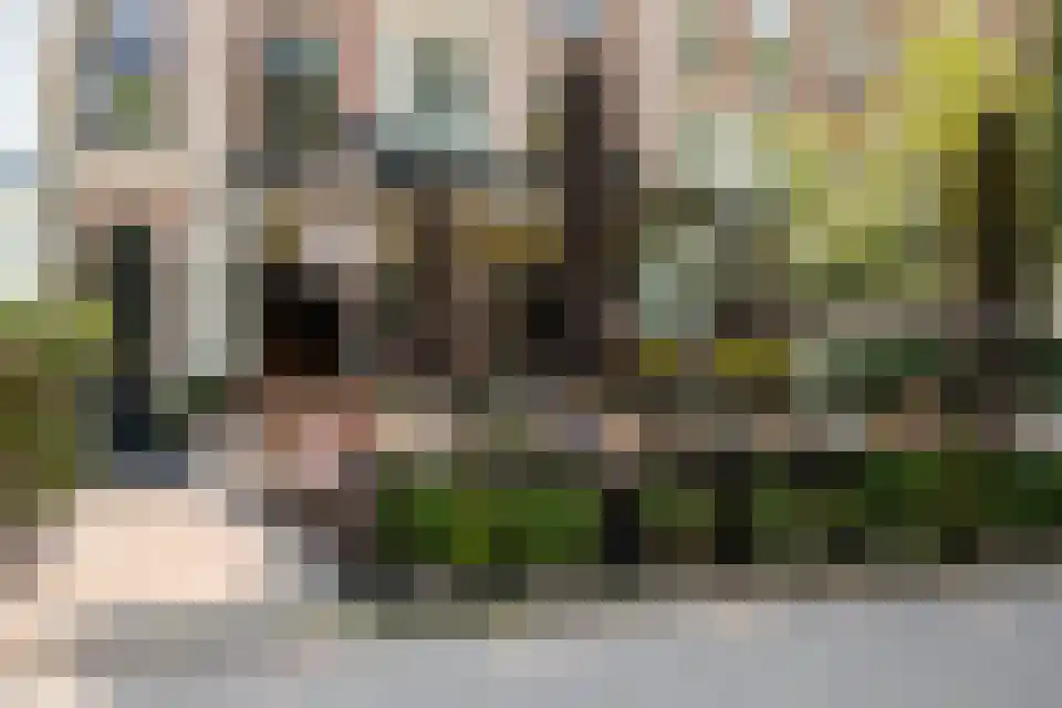 Eerste Van Swindenstraat 383 A Amsterdam thumbnail 28