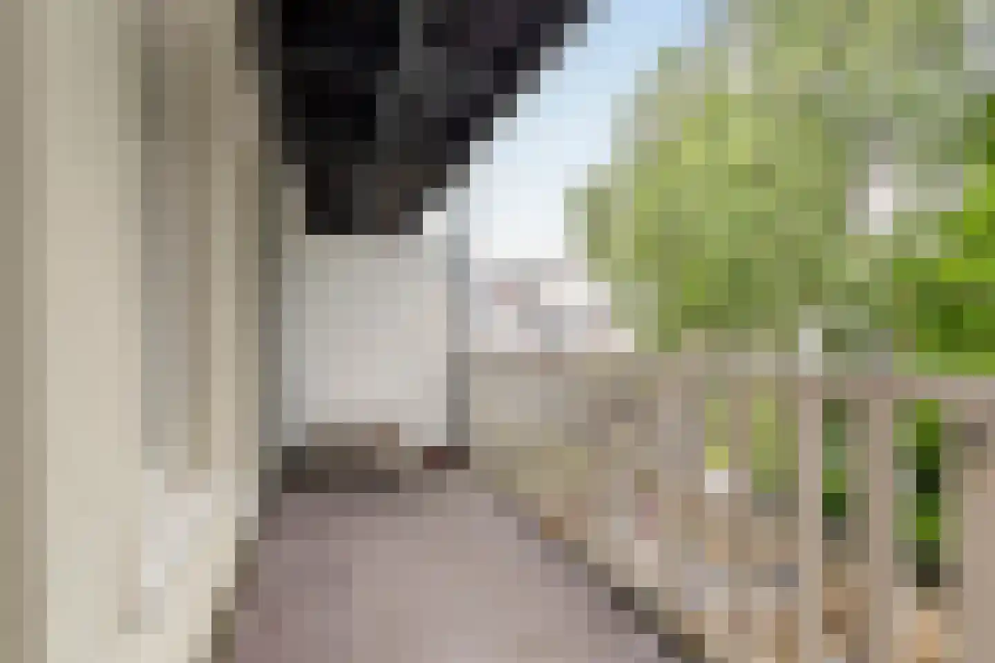 Eerste Van Swindenstraat 397 2 Amsterdam thumbnail 17