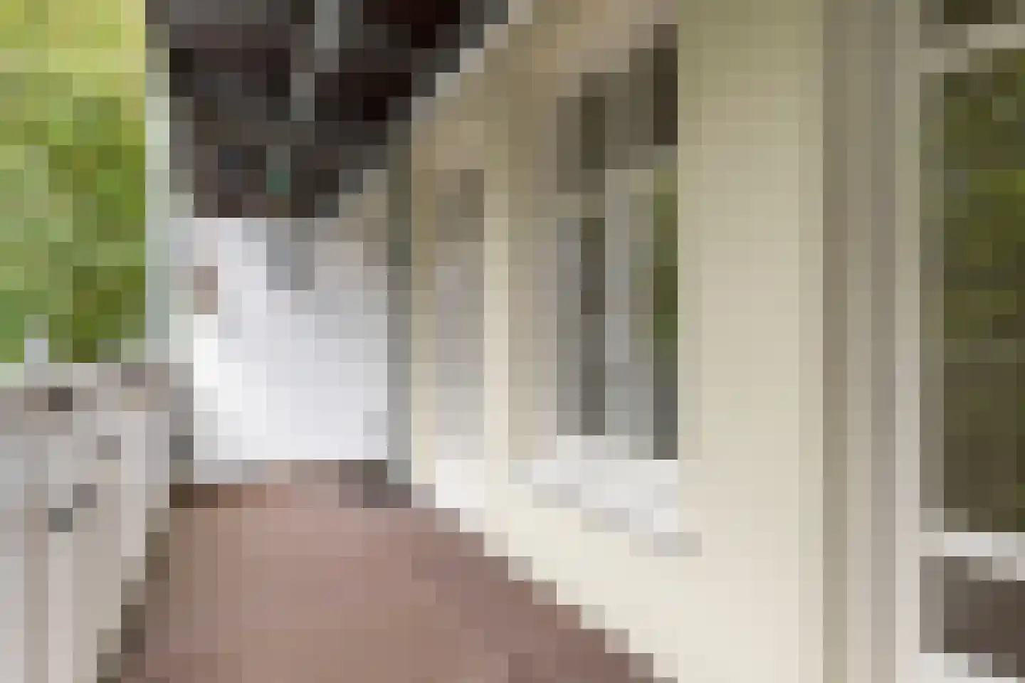 Eerste Van Swindenstraat 397 2 Amsterdam thumbnail 18