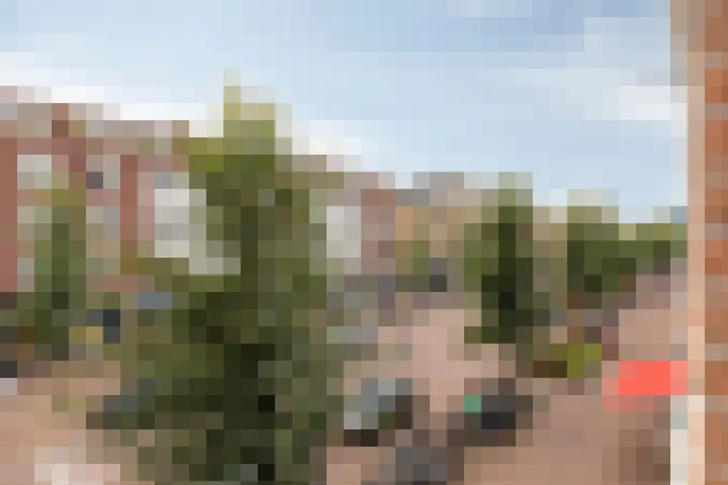 Eerste Van Swindenstraat 397 2 Amsterdam thumbnail 22