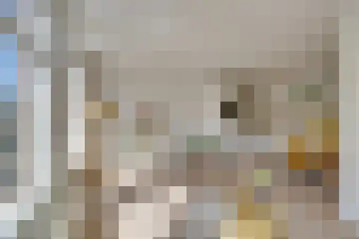 Eerste Van Swindenstraat 399 H Amsterdam thumbnail 13