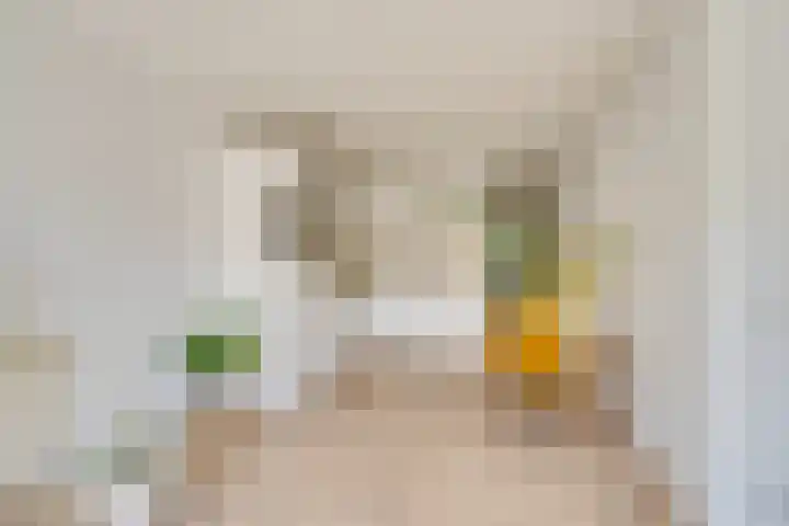 Eerste Van Swindenstraat 399 H Amsterdam thumbnail 17