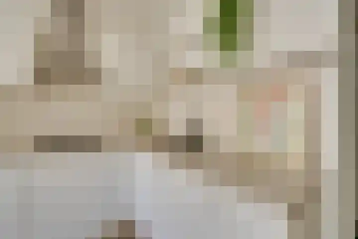 Eerste Van Swindenstraat 399 H Amsterdam thumbnail 22