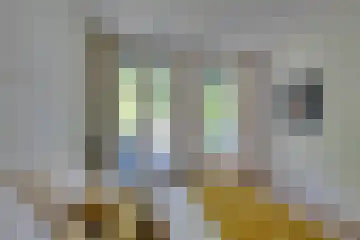 Eerste Van Swindenstraat 399 H Amsterdam thumbnail 29