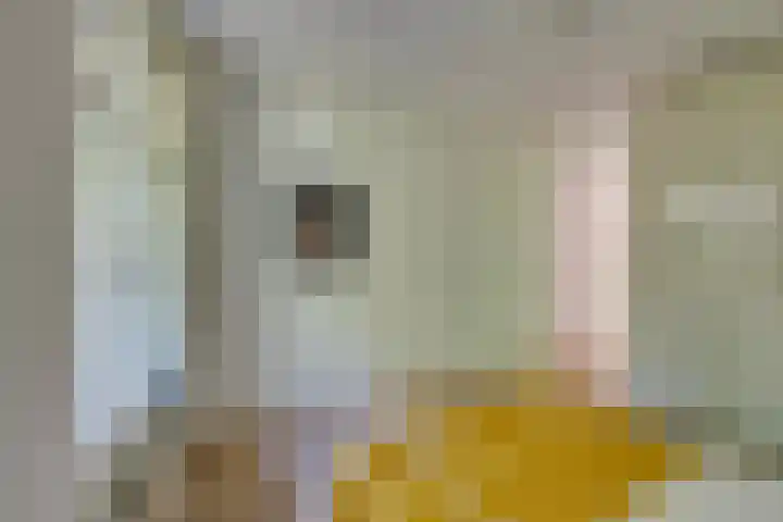 Eerste Van Swindenstraat 399 H Amsterdam thumbnail 31