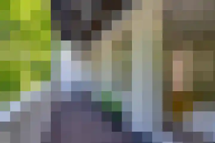 Eerste Van Swindenstraat 399 H Amsterdam thumbnail 35