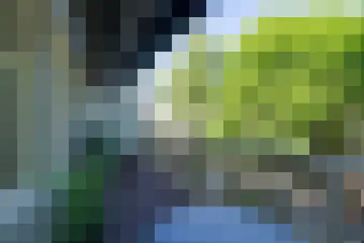 Eerste Van Swindenstraat 399 H Amsterdam thumbnail 36