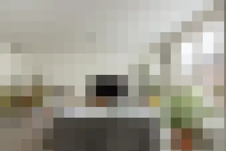 Eerste Van Swindenstraat 431 Amsterdam thumbnail 10