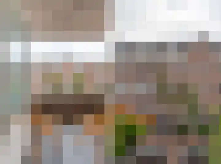 Eerste Van Swindenstraat 431 Amsterdam thumbnail 11
