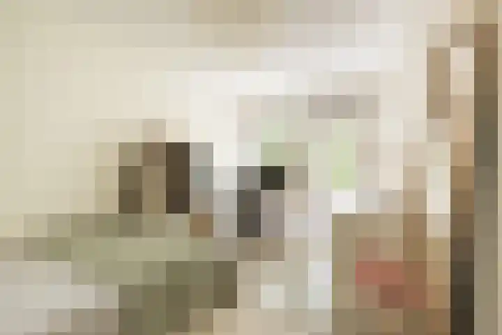 Eerste Van Swindenstraat 431 Amsterdam thumbnail 14