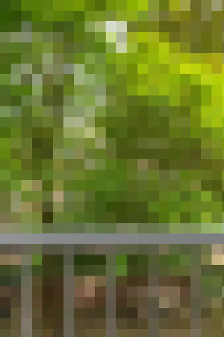 Eerste Van Swindenstraat 431 Amsterdam thumbnail 16