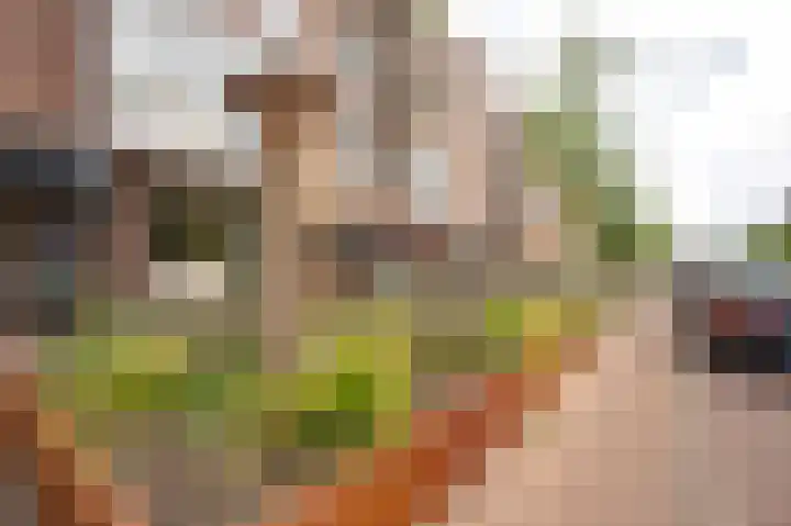 Eerste Van Swindenstraat 431 Amsterdam thumbnail 23