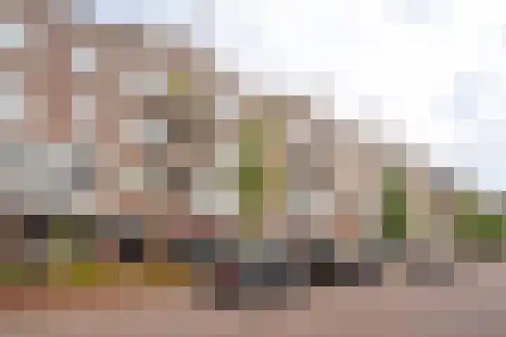 Eerste Van Swindenstraat 431 Amsterdam thumbnail 24