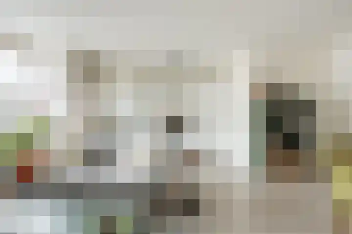 Eerste Van Swindenstraat 431 Amsterdam thumbnail 5