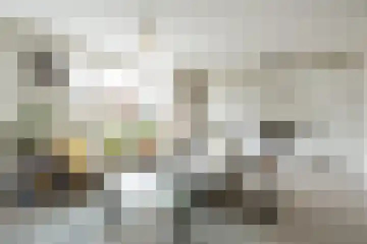 Eerste Van Swindenstraat 431 Amsterdam thumbnail 6