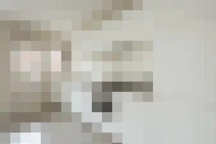 Eerste Van Swindenstraat 431 Amsterdam thumbnail 8