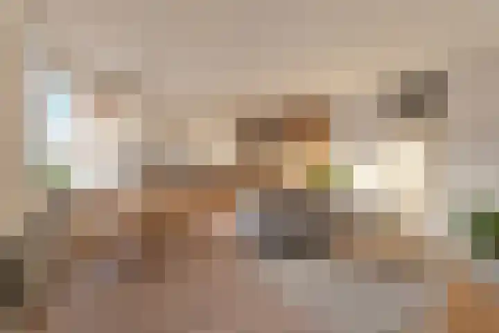 Eerste Van Swindenstraat 481 Amsterdam thumbnail 4