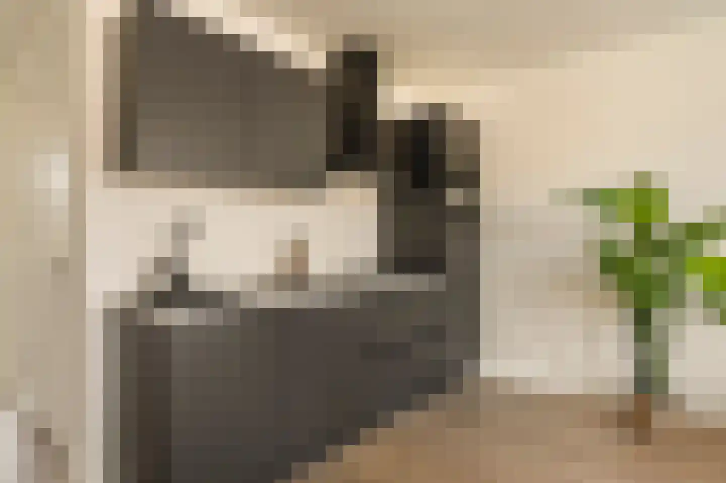 Eerste Van Swindenstraat 6 3 Amsterdam thumbnail 8