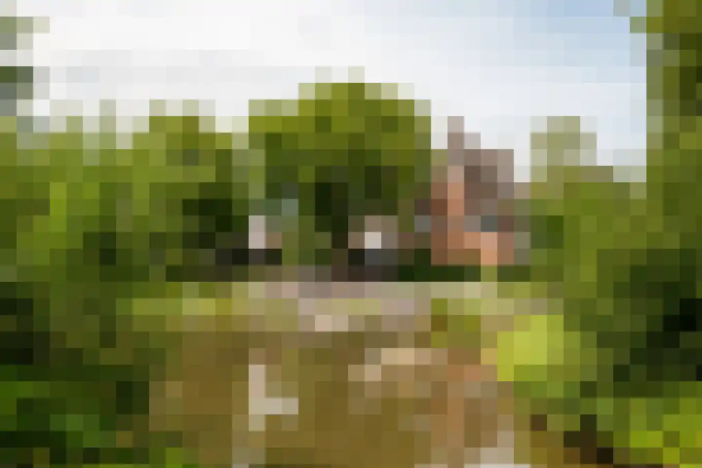 Eerste Van Swindenstraat 84 B Amsterdam thumbnail 38