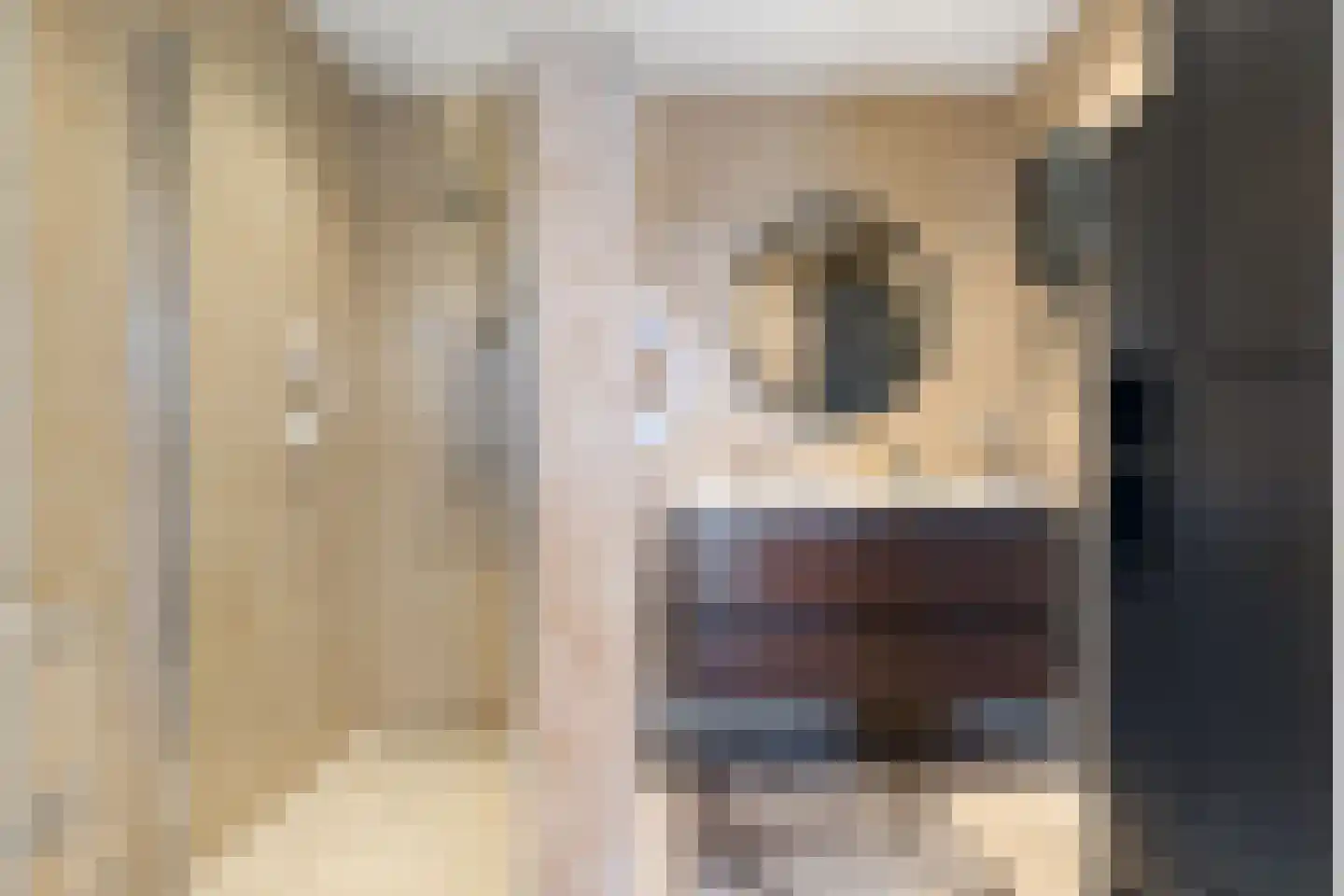 Eerste Verbindingsweg 1 Emmer-Compascuum thumbnail 13