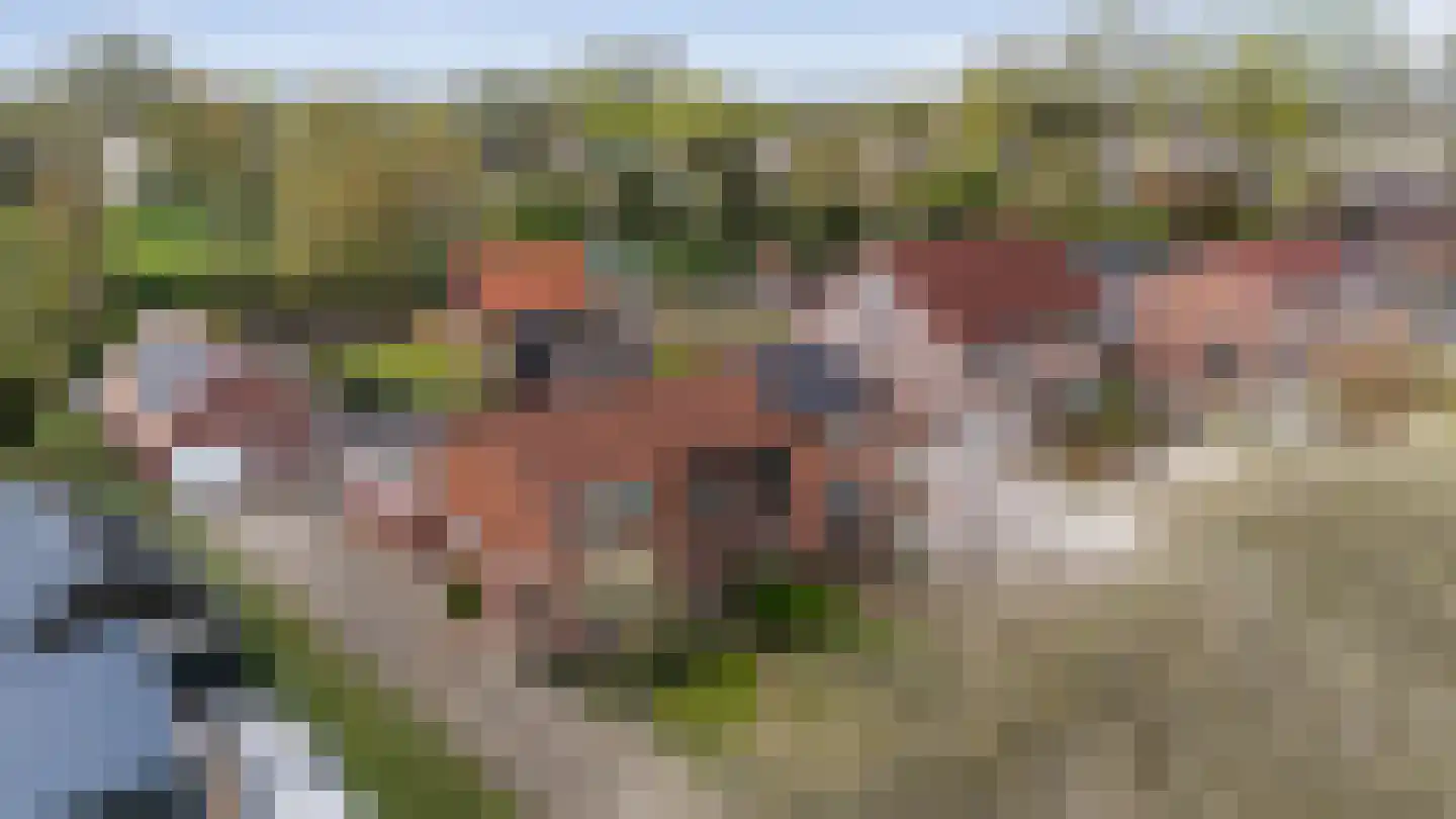 Eerste Verbindingsweg 1 Emmer-Compascuum foto 3
