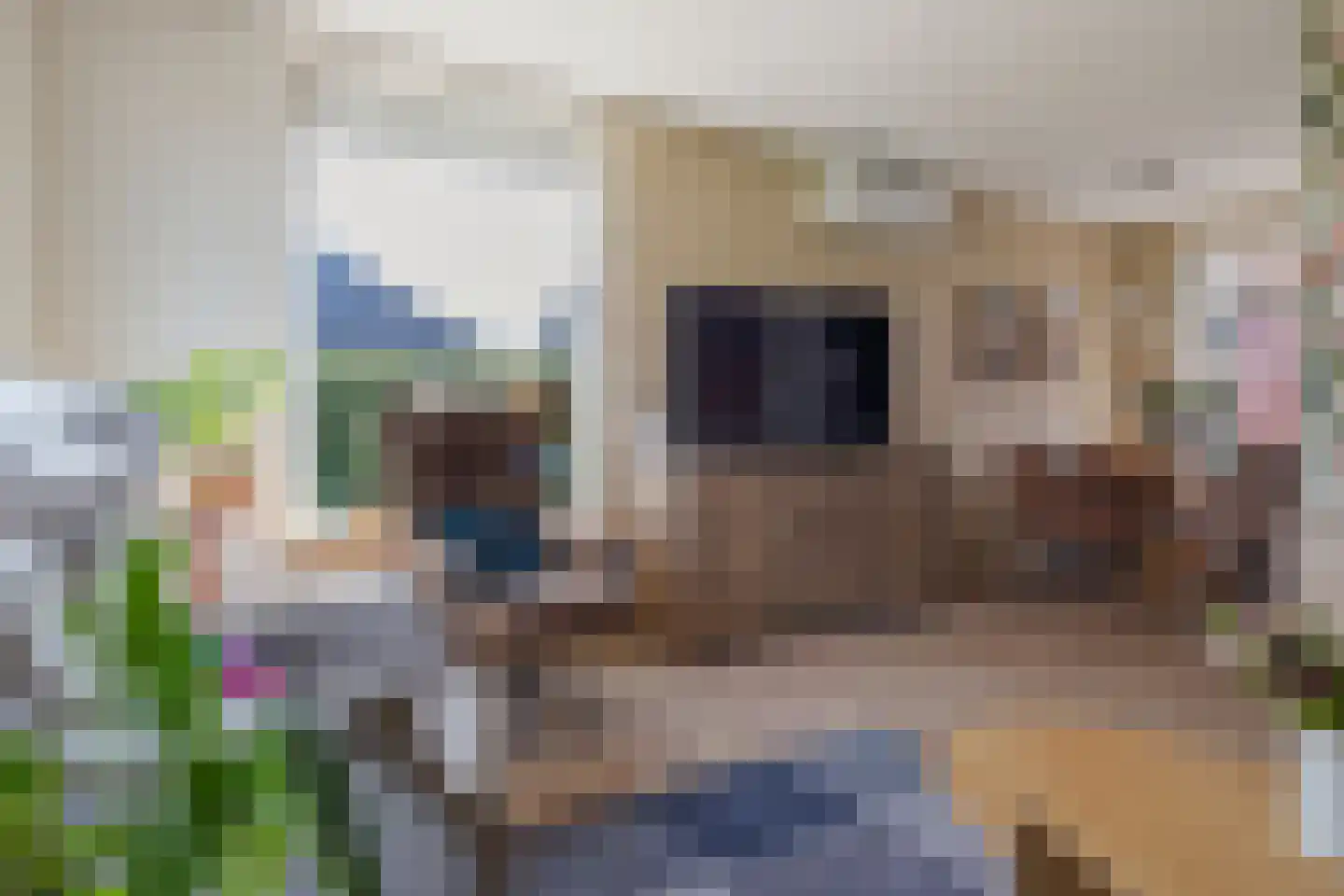 Eerste Verbindingsweg 1 Emmer-Compascuum thumbnail 6