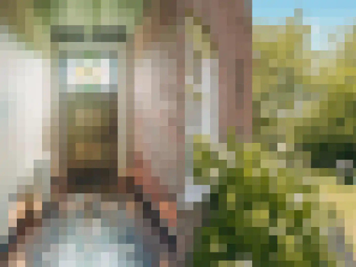 Eerste Verkorting 8 Axel thumbnail 10