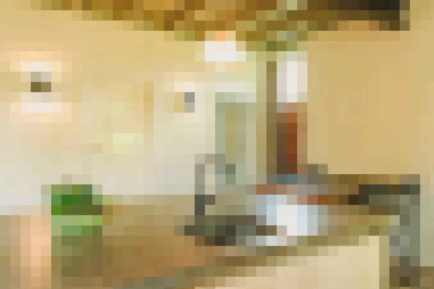 Eerste Verkorting 8 Axel thumbnail 15