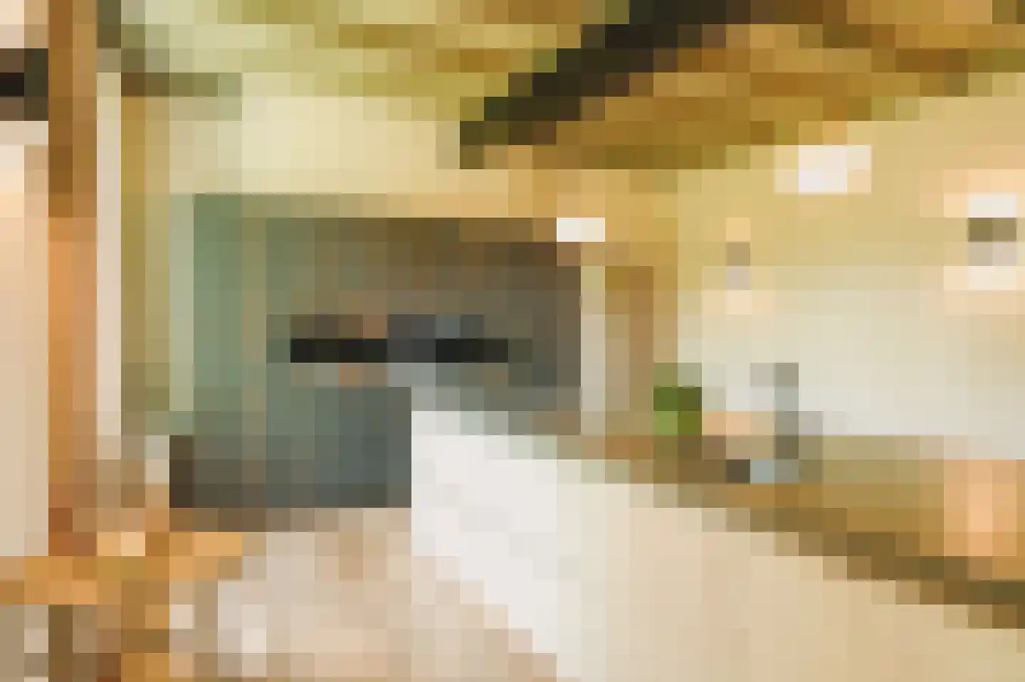 Eerste Verkorting 8 Axel thumbnail 16