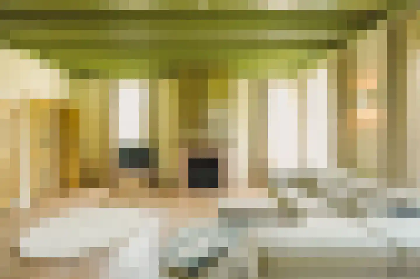 Eerste Verkorting 8 Axel thumbnail 20