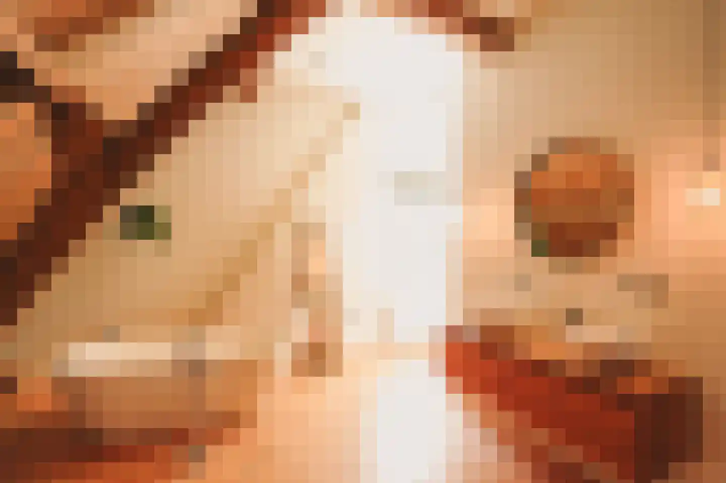 Eerste Verkorting 8 Axel thumbnail 4