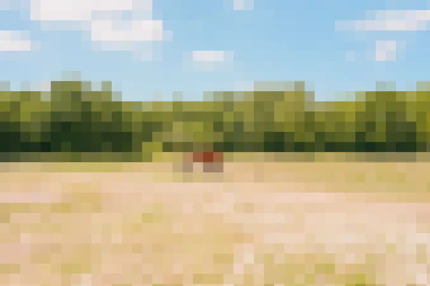 Eerste Verkorting 8 Axel thumbnail 42